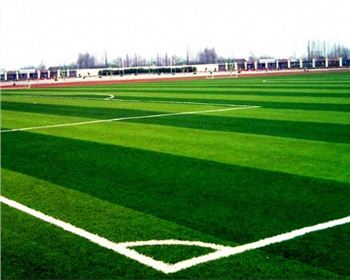 伸縮性福來(lái)輪輸送機(jī)