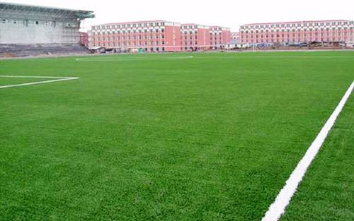 LBC中量型皮帶機