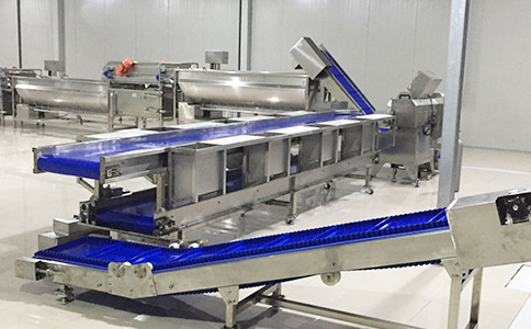 蘇州凈菜加工項目